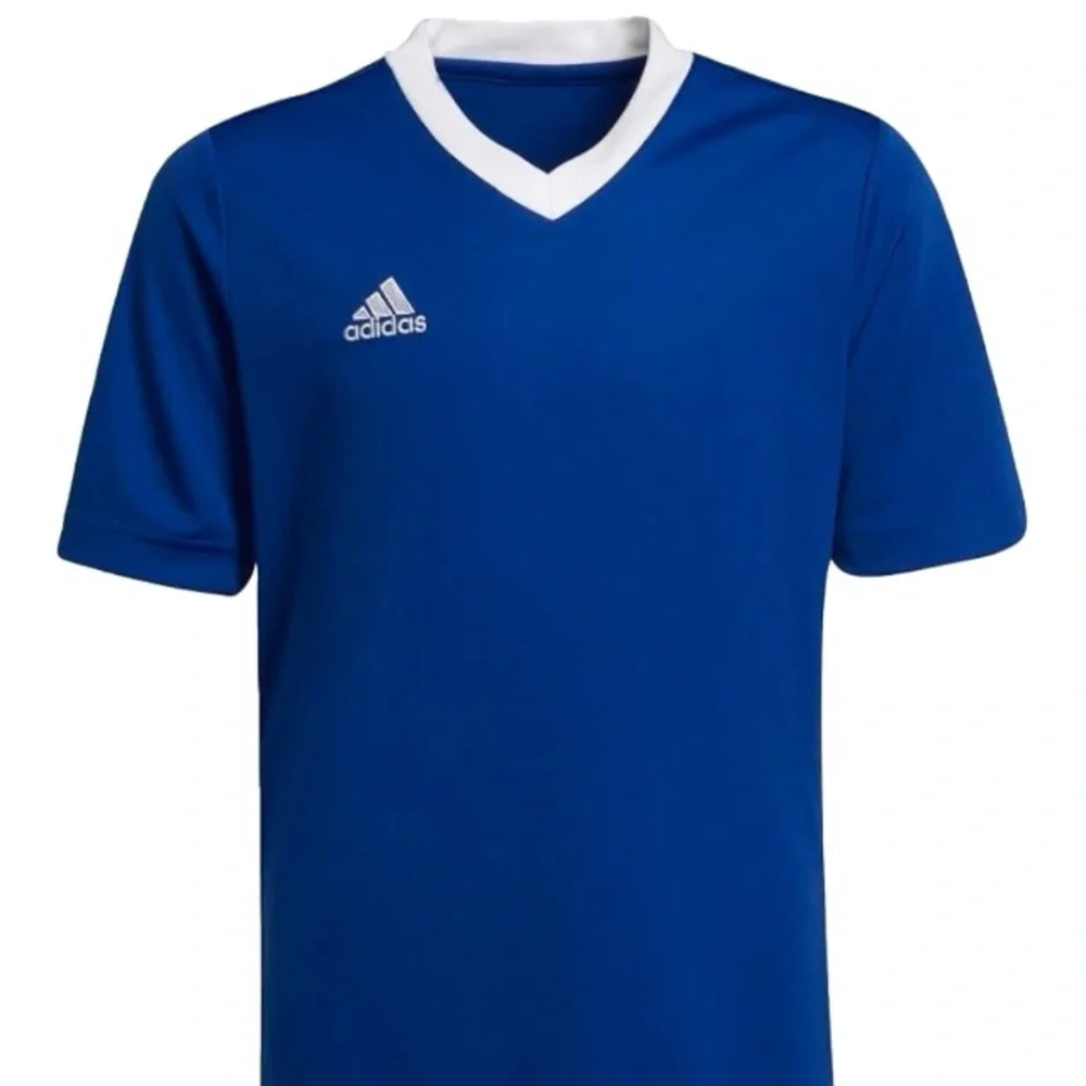 ADIDAS Entrada 22 Jersey Team Royal Blue Youth Boys Girls UNISEX Medium